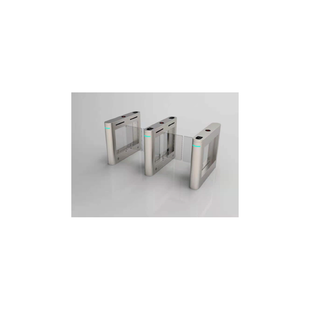 無刷防撞擺閘雙機芯DSK-607-S