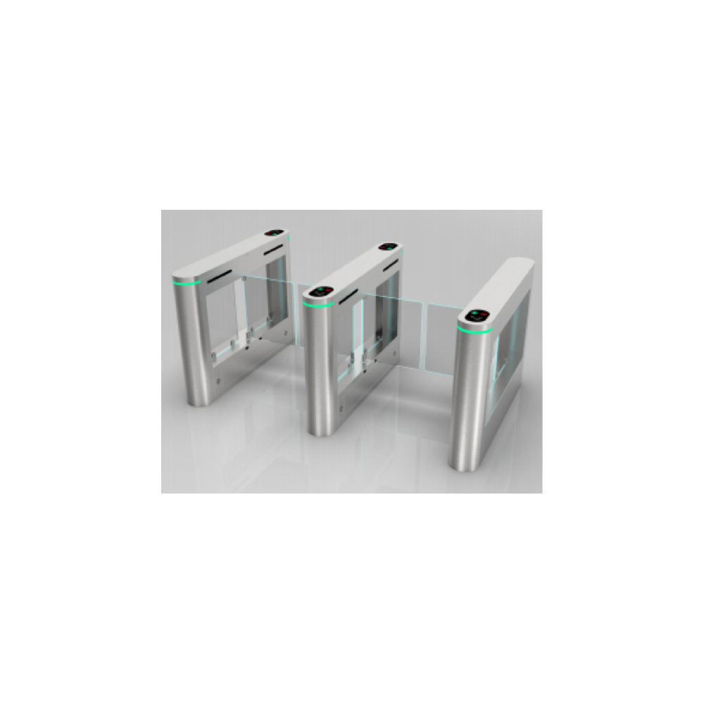 無刷防撞小(xiǎo)擺閘雙機芯 DSK-610S